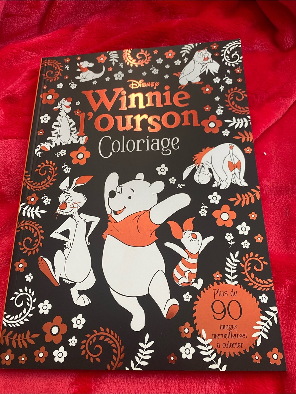 🍀3/$40🍀 Disney Winnie l'ourson Coloriage - Black and Orange Cover